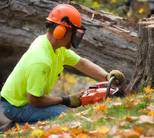 tree services Murray Hill